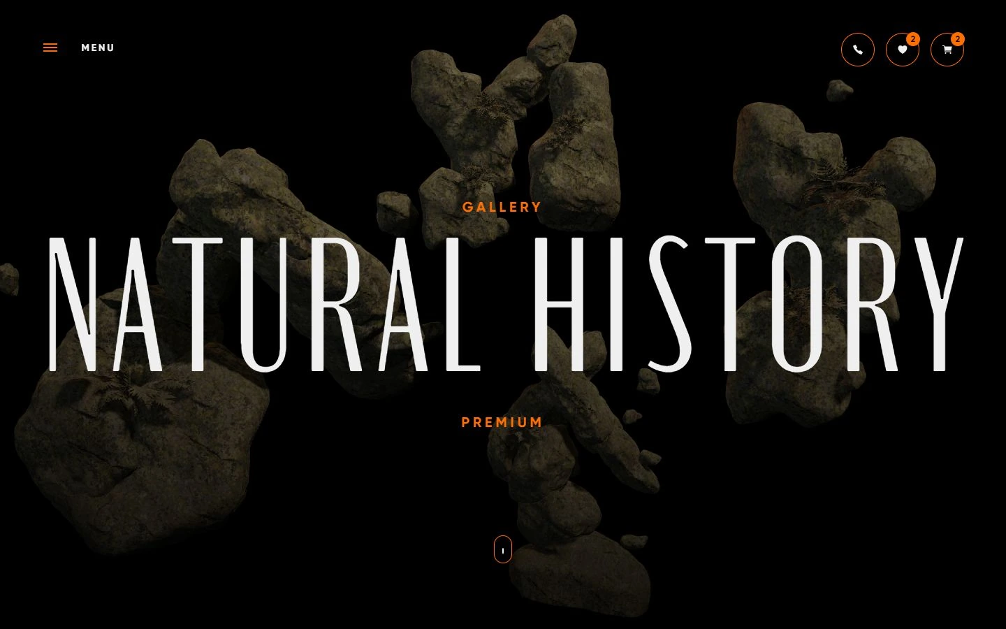 Интернет-магазин Natural History — дополнительное изображение